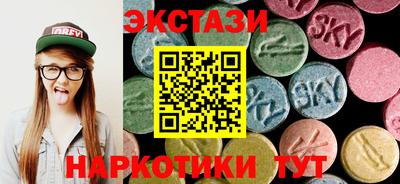 СК Гатчина