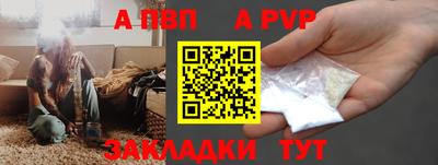 СК Гатчина