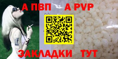 СК Гатчина