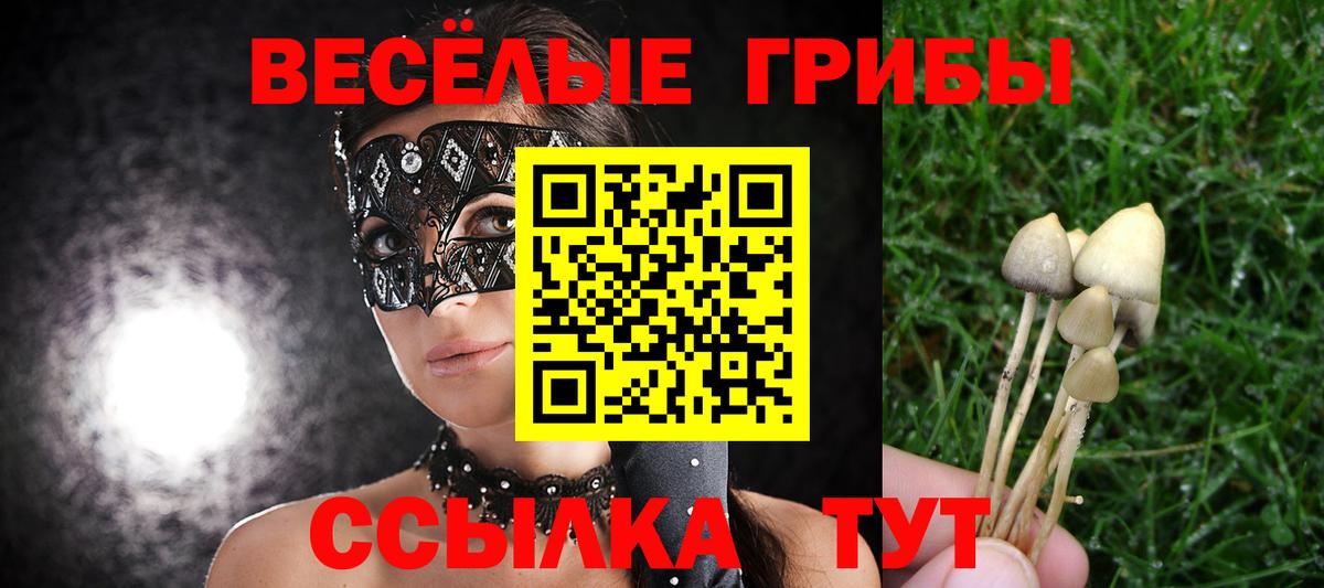 Москва  Псилоцибиновые грибы прущие грибы  Галлюциногенные грибы прущие грибы  Вход с VPN 